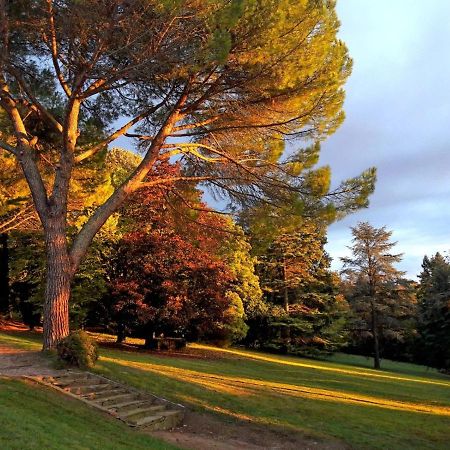 Domaine De Gailhaguet B&B Verfeil  Bagian luar foto